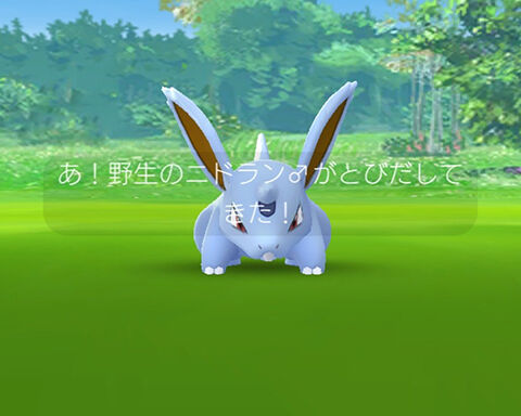 なんかすごい奴捕まえたｗｗｗニドキングって強いの ポケモンgo速報まとめ