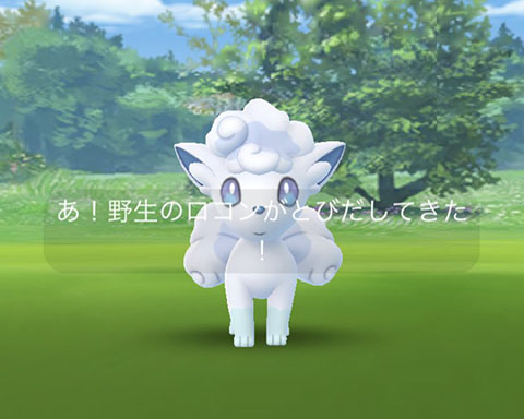 北海道ロコン000