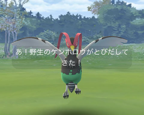 不遇な鳥ｗｗｗケンホロウってムクホークより強いの ポケモンgo速報まとめ