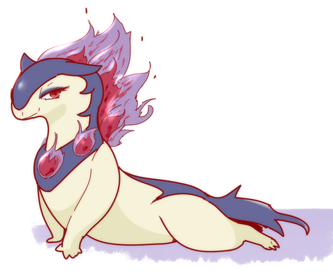 色雌ヒノアラシ1