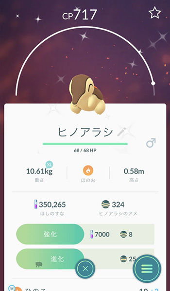 ゴプラ策略11
