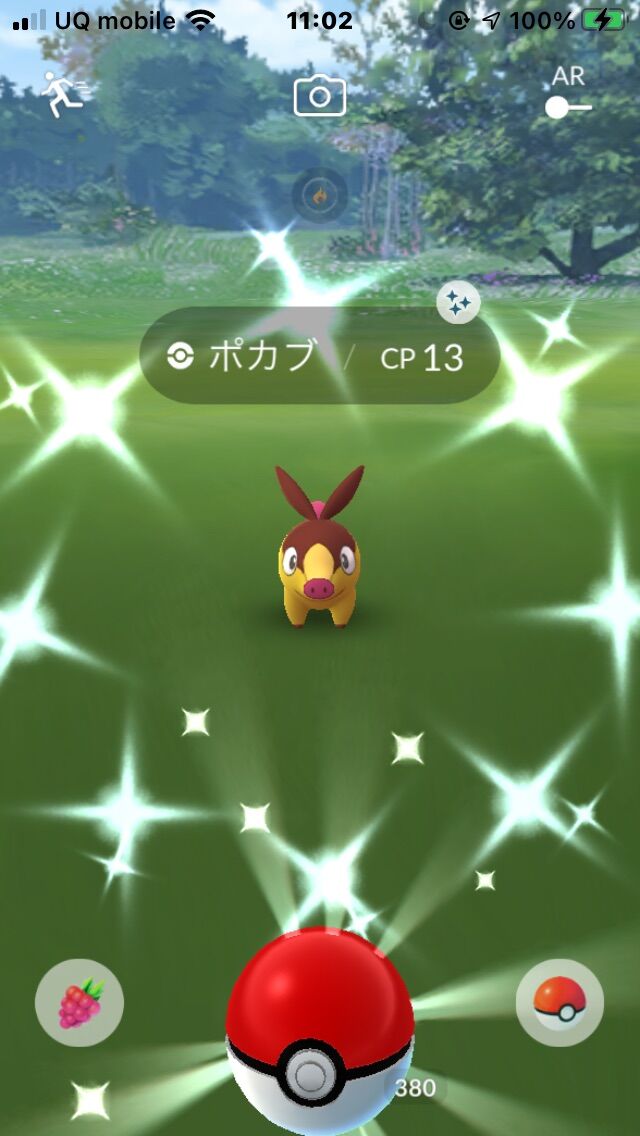 色違い一番乗りじゃｗｗポカブコミュニティの収穫ｗｗ ポケモンgo速報まとめ