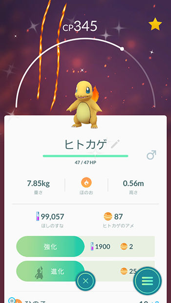 ヒトカゲ色違い初ゲット1