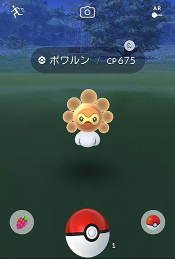 ポケモンgo ザングースいいよな ポケモンgo速報まとめ ポケモンgo ザングースいいよな ポケモンgo速報まとめ