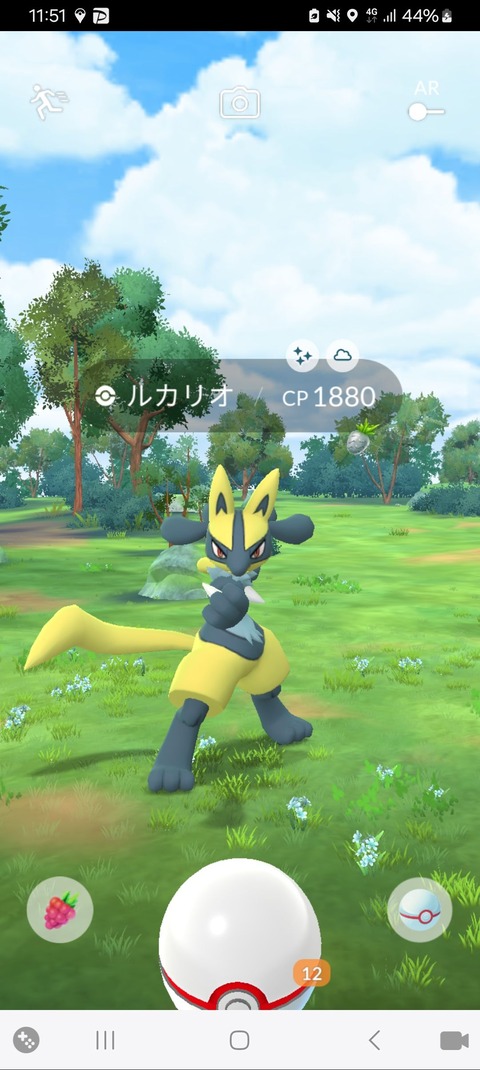 メガルカリオ色招待2