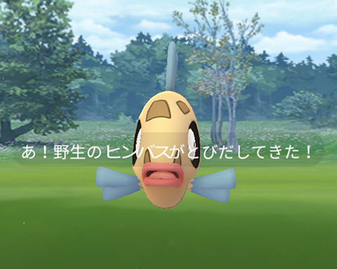 グレネード弾0