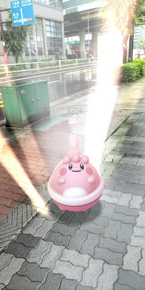 ポケカ収穫垂涎1