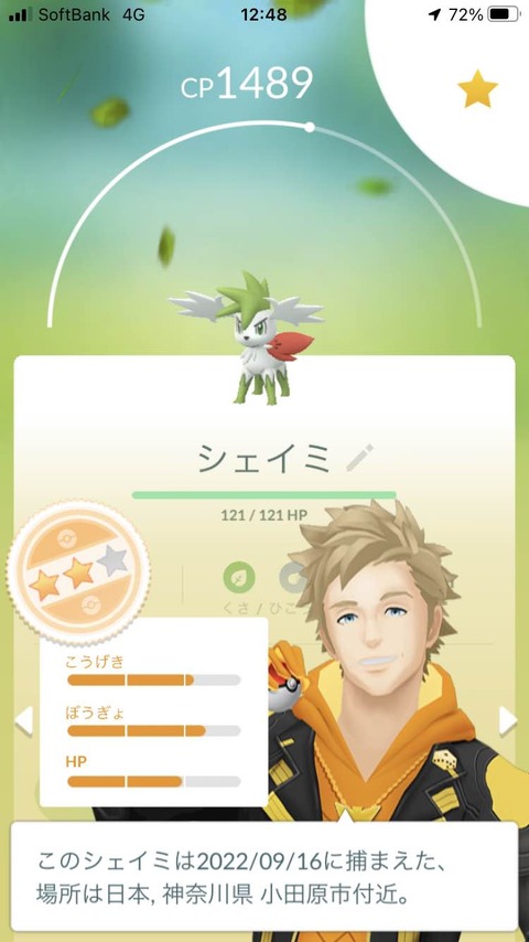 シェイミ低個体1