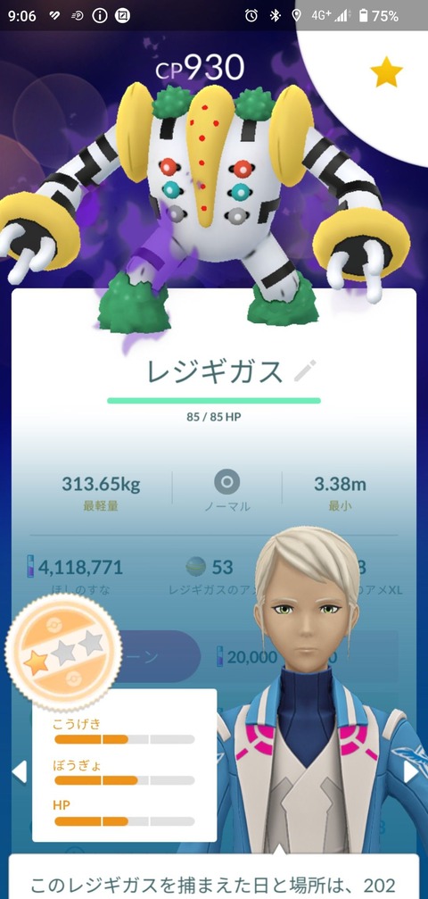 榊Sレジギガス成果2