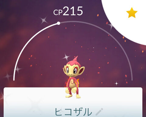 CD猿捕まえた0