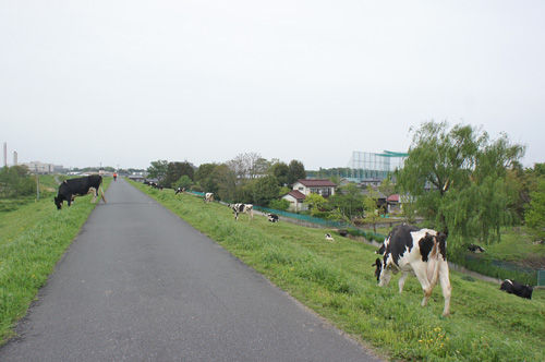 埼玉は田舎すぎてポケストップが少なすぎるんだがｗｗｗｗｗ ポケモンgoのポケストップ攻略ニュース