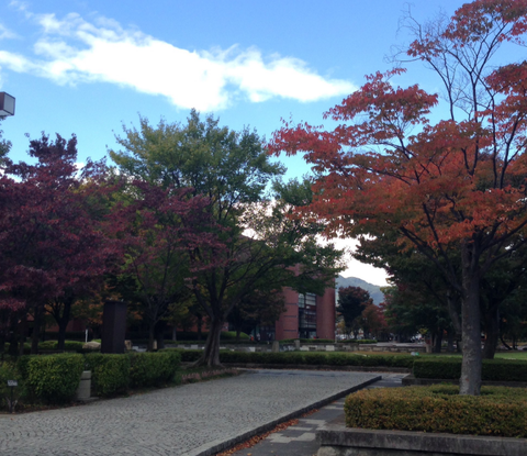 雁の里山本公園