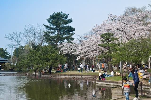 合浦公園は 青森市で一番 のポケスポット 300人殺到で駐車場が満車に ポケモンgoのポケストップ攻略ニュース