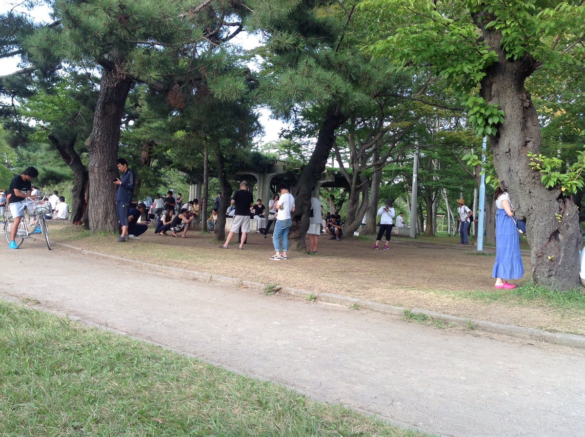 青森県青森市 合浦公園はポケストップが多くて連日ポケモンハンターが殺到 ポケモンgoのポケストップ攻略ニュース