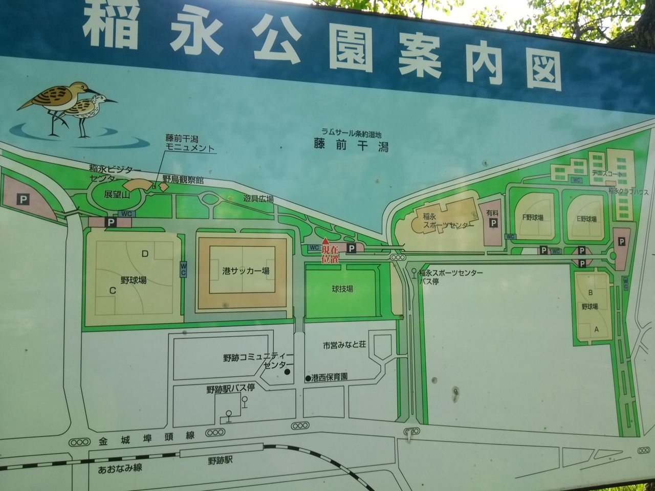 愛知県名古屋市 稲永公園は鶴舞公園以上に人が多く 駐車場は満車で路上駐車だらけ ポケモンgoのポケストップ攻略ニュース 愛知県名古屋市 稲永公園は鶴舞公園以上に人が多く 駐車場は満車で路上駐車だらけ ポケモンgoのポケストップ攻略ニュース