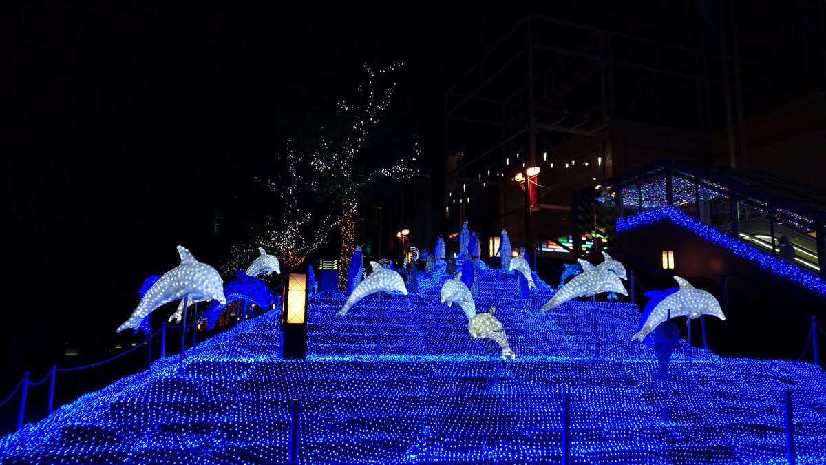 大阪府大阪市 天保山でプテラとラプラス狩りしてるけど夜は寒すぎて死ぬぞｗ ポケモンgoのポケストップ攻略ニュース