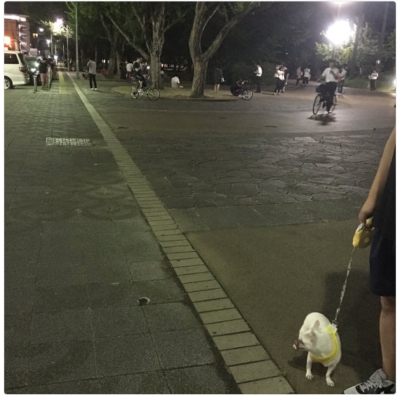 福岡県福岡市 山王公園はポケモントレーナーが多い ポケモンgoのポケストップ攻略ニュース 福岡県福岡市 山王公園はポケモントレーナーが多い ポケモンgoのポケストップ攻略ニュース