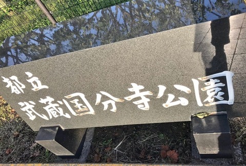 国分寺公園