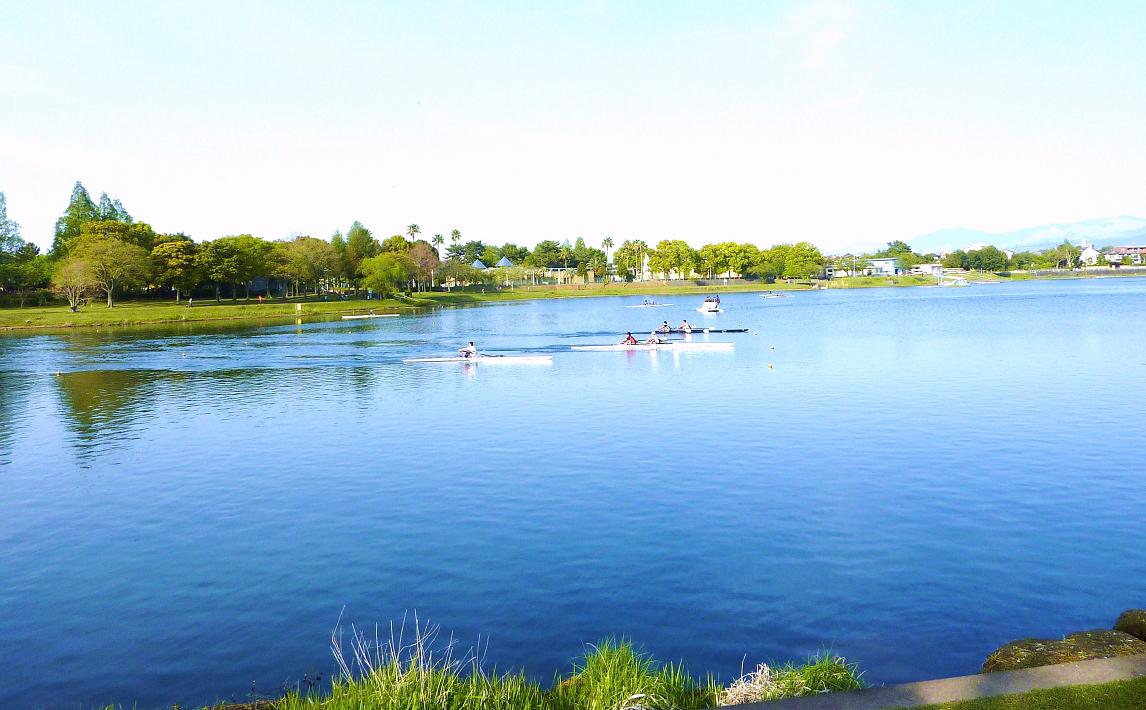 熊本市 江津湖はミニリュウが大量に出現するぞ ポケモンgoのポケストップ攻略ニュース