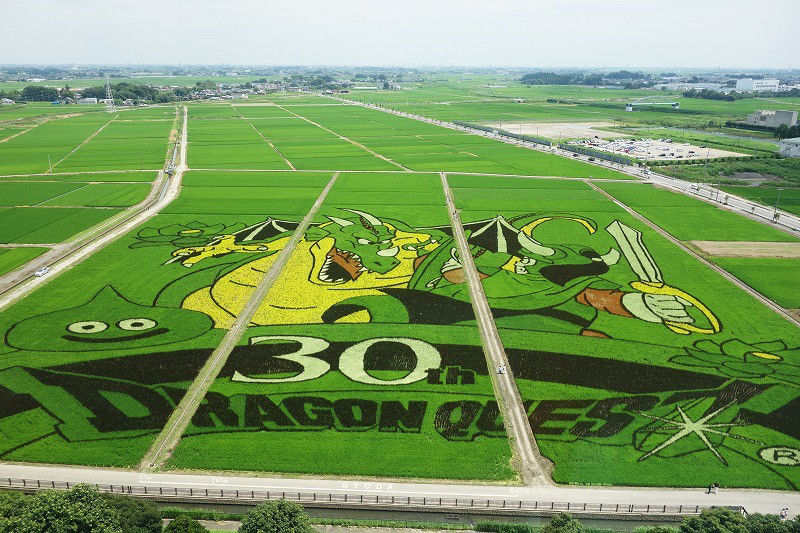 埼玉県行田市 古代蓮の里はヒトカゲの巣で決定 ポケモンgoのポケストップ攻略ニュース 埼玉県行田市 古代蓮の里はヒトカゲの巣で決定 ポケモンgoのポケストップ攻略ニュース