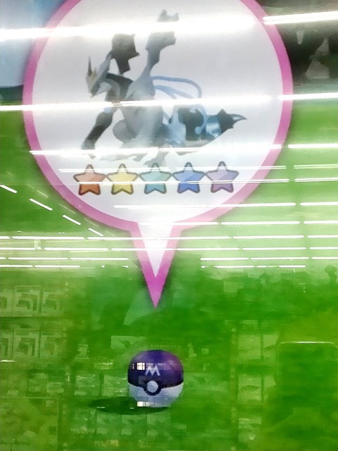 ポケモンガオーレマスターへの道 モンスターボール