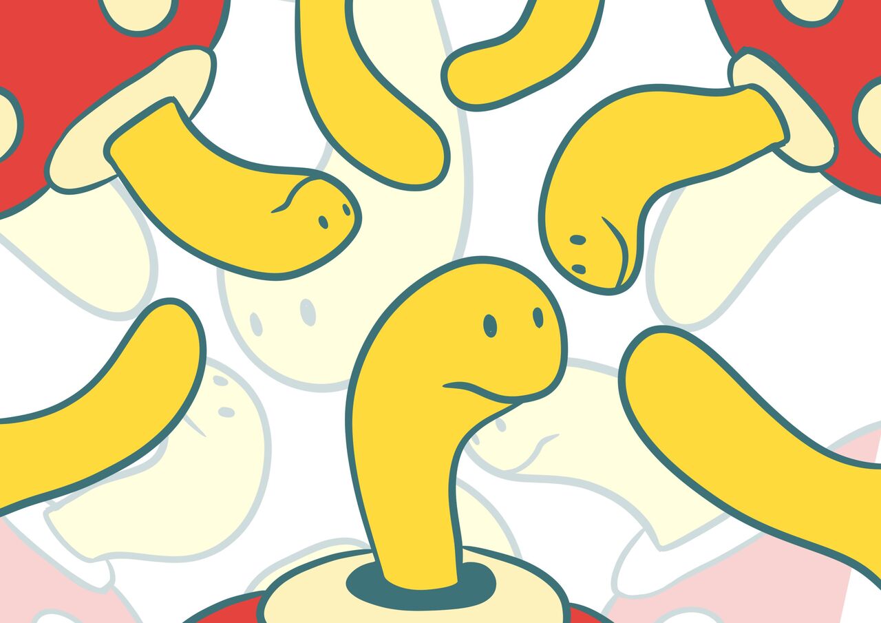 毎ポケ 図鑑no 213 ツボツボ 毎日ポケモン ポケトピ ポケモントピック
