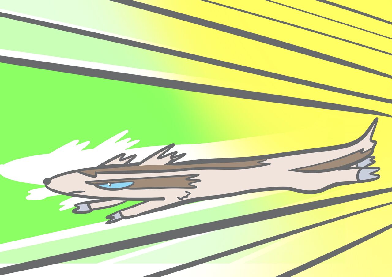 毎ポケ 図鑑no 264 マッスグマ 毎日ポケモン ポケトピ ポケモントピック