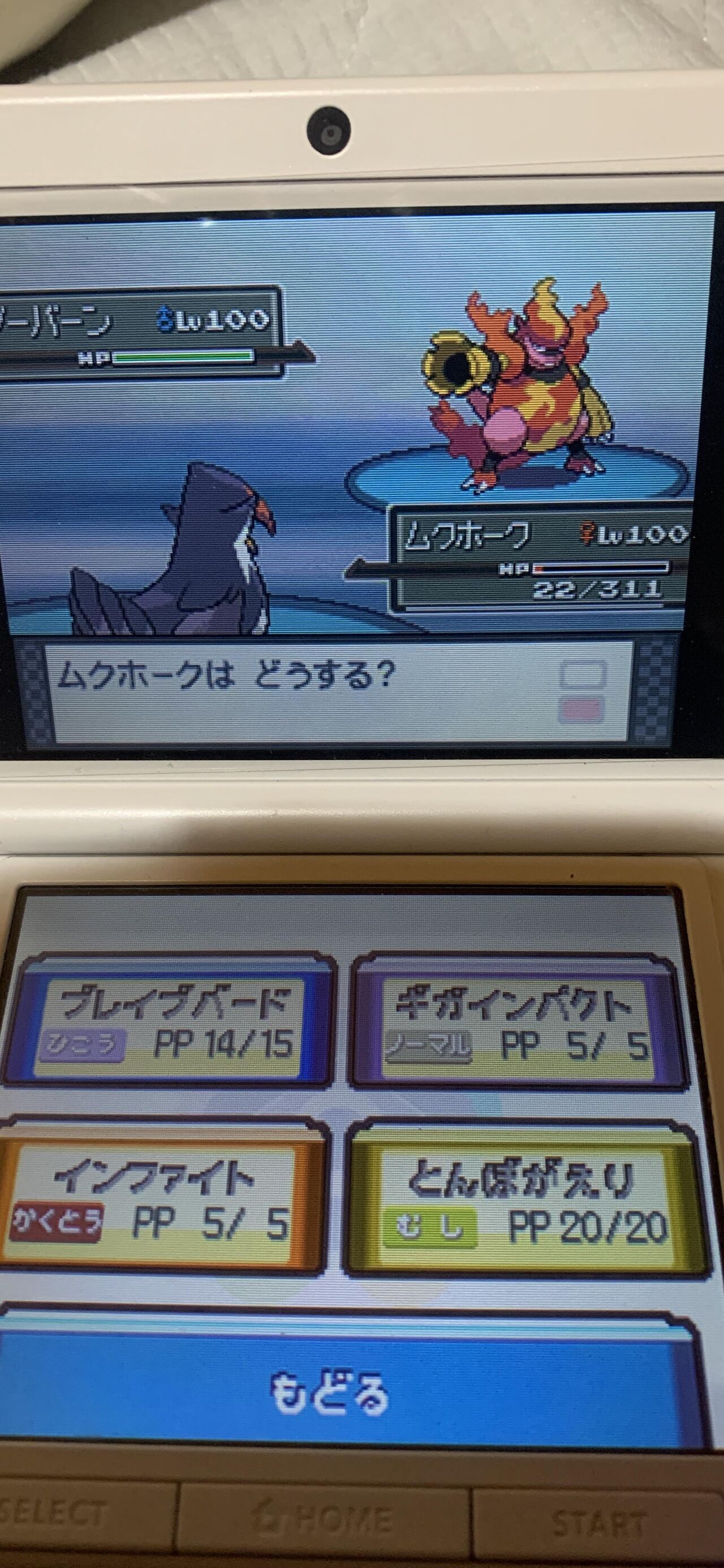 ポケモン 金ネジキ48戦目きた 交換いるかどうかの判断欲しいからポケモン博士来て下さい