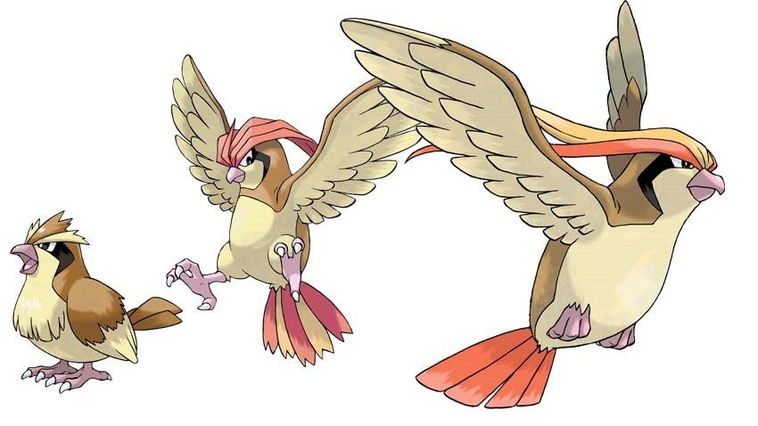 お前らポケモンのポッポ ピジョン ビジョットみたいなのなんて呼んでる