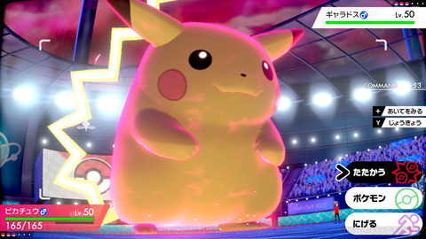 ポケモン このゲーム最低限のことを理解てない初心者じゃ絶対勝てない作りなんだわ