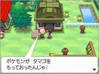 ポケモン育て屋とかいうブラック企業 ポケモン速報