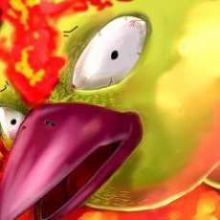 ファイヤーとかいう焼き鳥ポケモン ポケモン速報 ファイヤーとかいう焼き鳥ポケモン ポケモン速報