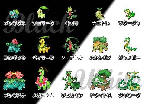 ポケモンの 名前6文字 にしたの未だに許してない勢 ポケモンの 名前6文字 にしたの未だに許してない勢