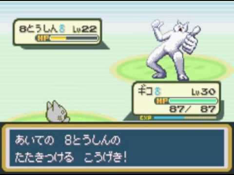 ポケモン速報