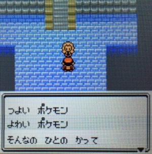 ポケモン「ほんとうにつよいトレーナーならすきなポケモンでかてるようにがんばるべき」←これｗｗｗｗｗｗｗｗｗｗ