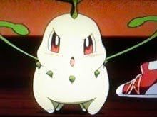 チコリータって御三家ポケモン8世代72匹の中で飛び抜けてかわいいよな ポケモン速報 チコリータって御三家ポケモン8世代72匹の中で飛び抜けてかわいいよな ポケモン速報