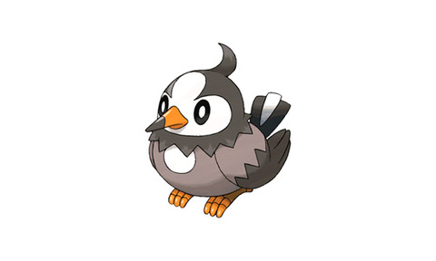 最新のhdポケモン 鳥 ポケモン かわいいディズニー画像