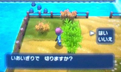 pokemonnXYakuhado