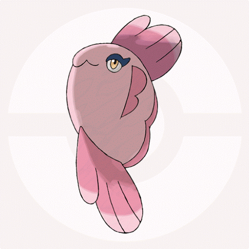 水タイプでメガメタグロスとメガギャラドス両方見れる神ポケモンいねぇのか ポケモンアンテナサイト