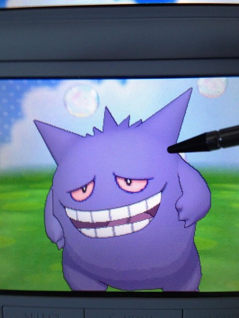 癒し パルレで可愛いポケモンについて語るスレ ポケモン速報