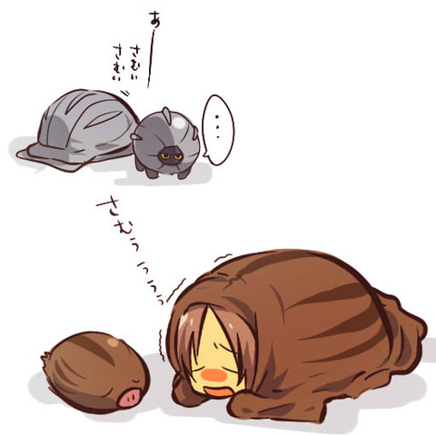 ダウンロード (2)