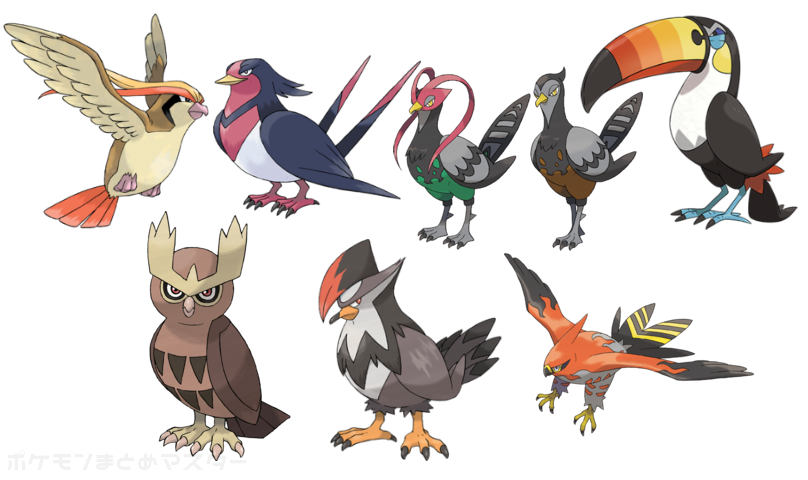 最強の鳥ポケモンｗｗｗｗｗｗｗｗｗｗｗｗｗｗｗｗｗｗｗｗｗｗｗｗｗｗｗｗ
