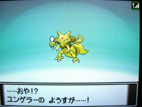 初代幻のポケモン ゲンガー フーディン ゴローニャ カイリキー ポケモン速報