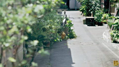 新規キャンバス