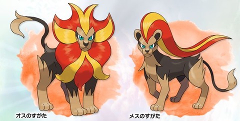 ポケモン カエンジシとかいうフラダリｗｗｗｗｗｗｗｗｗｗｗｗ ポケモン速報