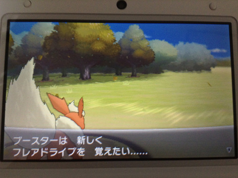 10243945785_c8b698fdf2_b