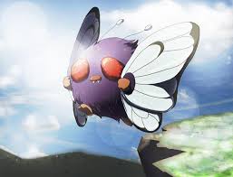 ポケモンのコンパンとかいう生物wwwwwwwwwwww ポケモン速報 ポケモンのコンパンとかいう生物wwwwwwwwwwww ポケモン速報