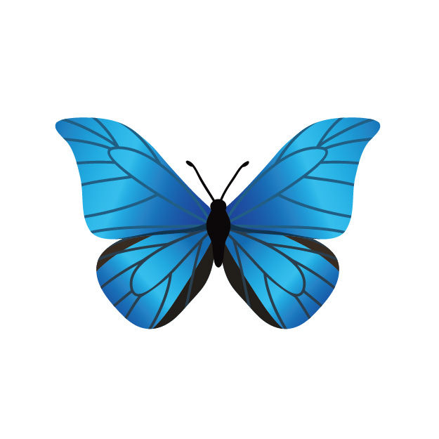 モルフォ蝶が由来のポケモン 英語学習 英語でポケモン Go