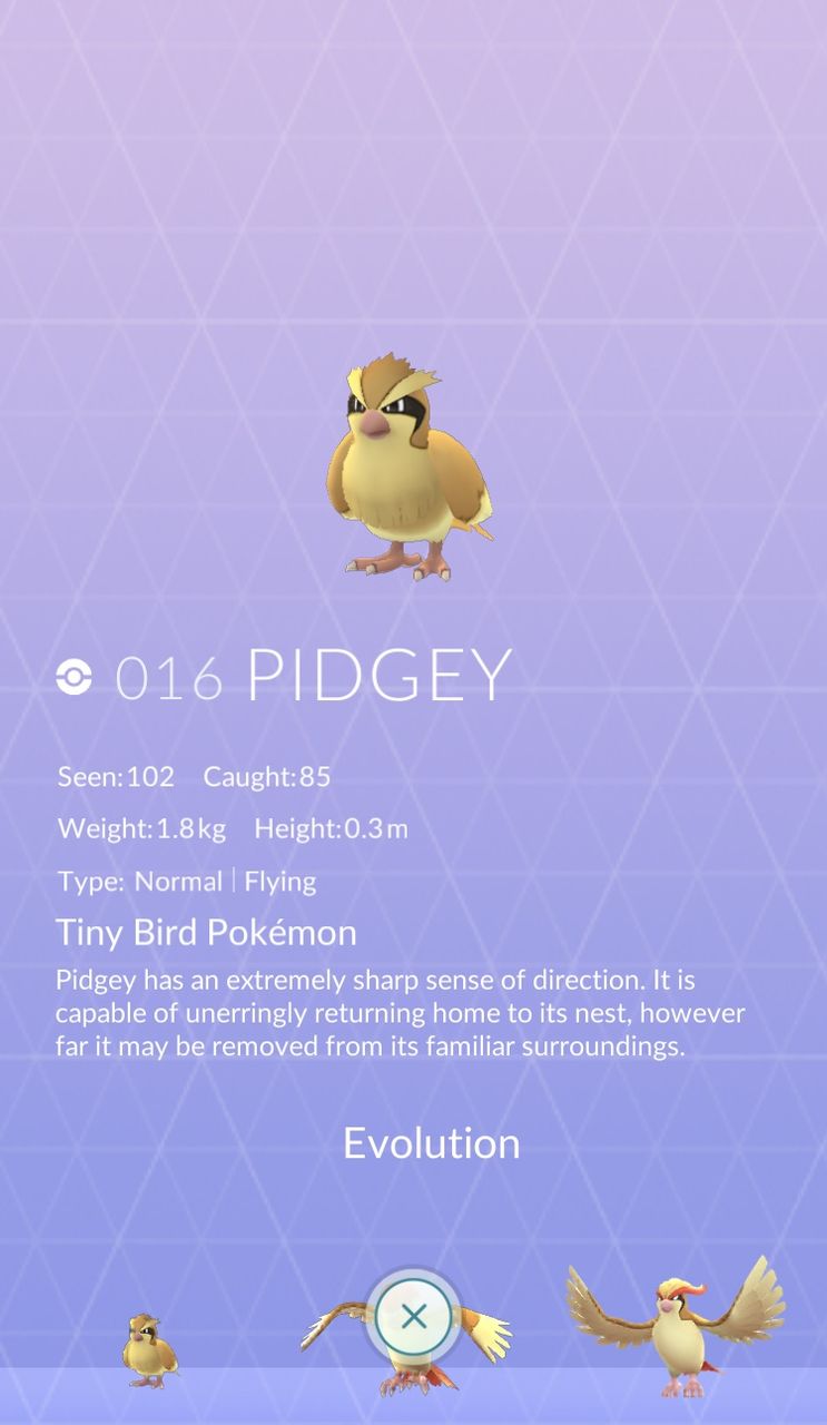 ポケモンgotcha 英語でポケモン Go ポケモンgotcha 英語でポケモン Go