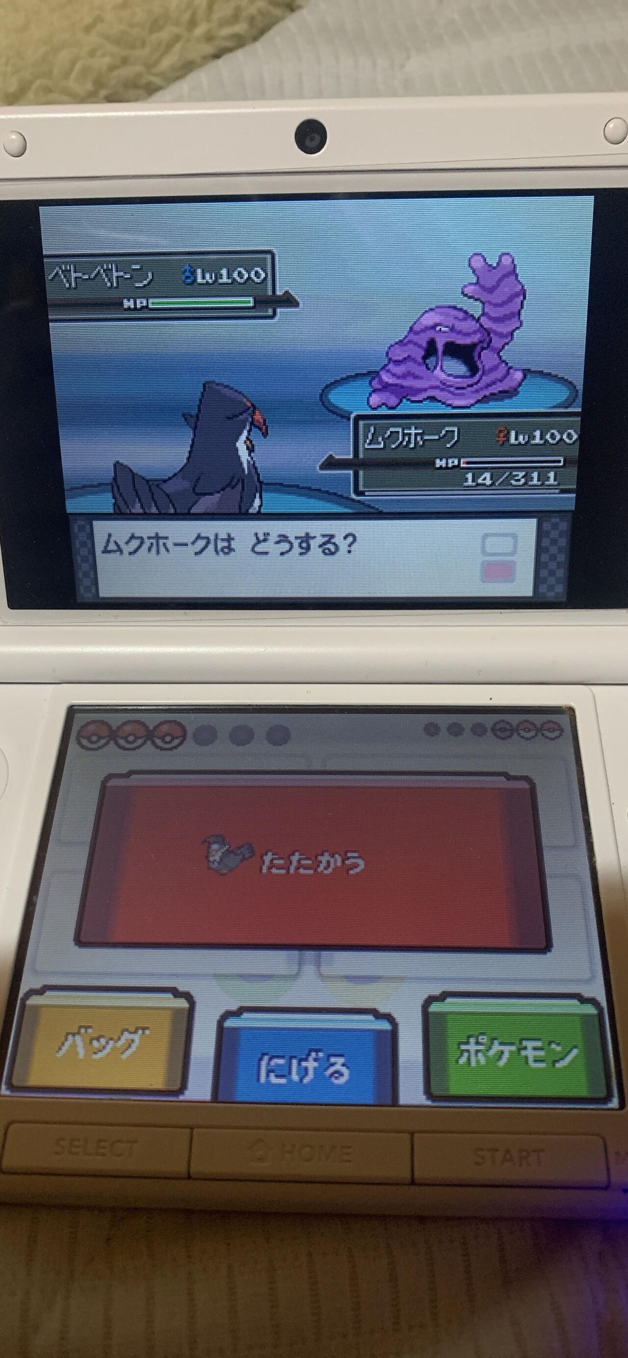 ポケモンhgss ネジキ7週目到達 やり直したくないしここからどうすればええんや 画像 ポケモンex速報